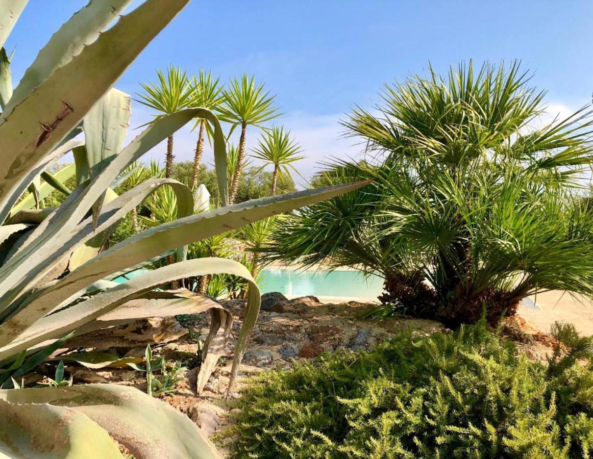 I Love Trullo - Country Boutique Apartments - Villa Laura Ostuni Ngoại thất bức ảnh