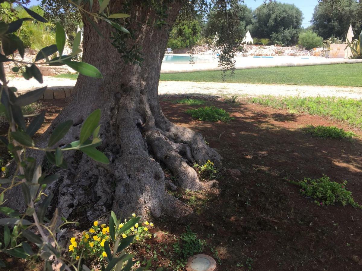 I Love Trullo - Country Boutique Apartments - Villa Laura Ostuni Ngoại thất bức ảnh